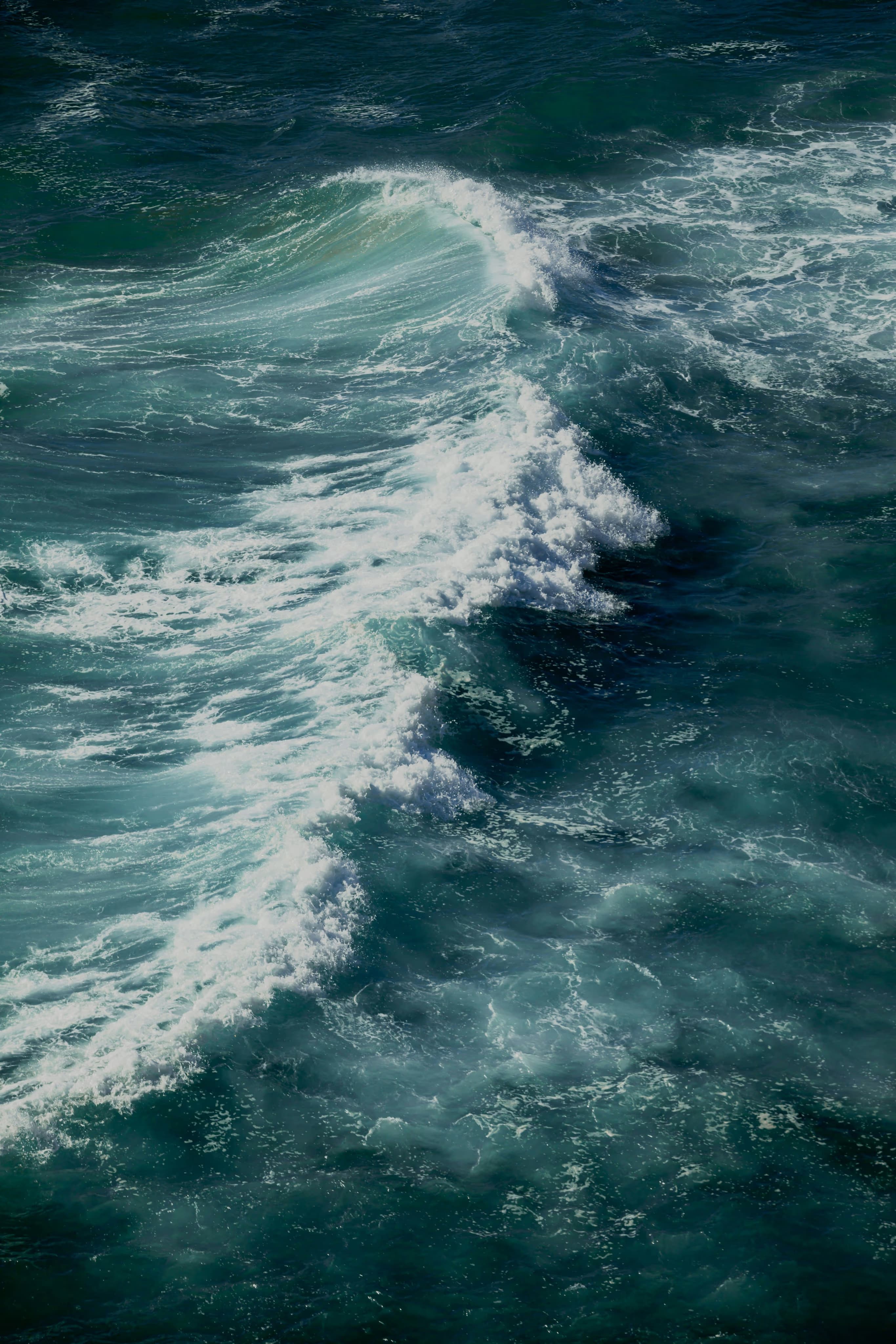 المراقبة البحرية والساحلية